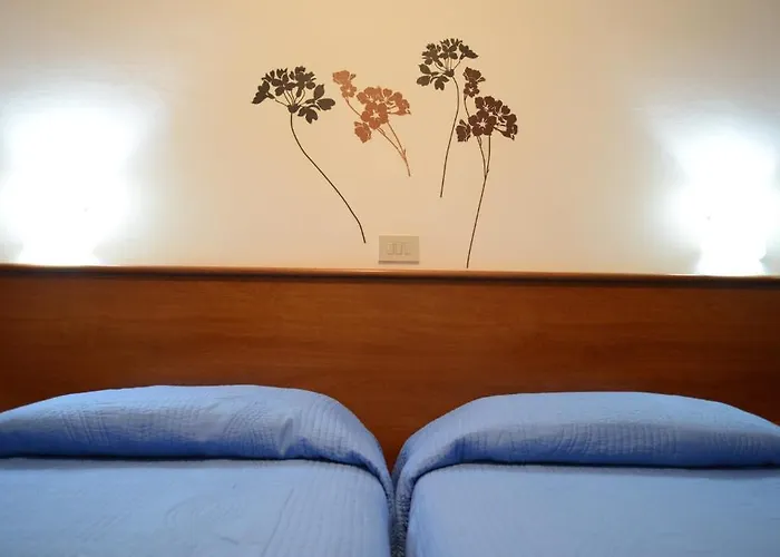 Astor فندق بيرودجا